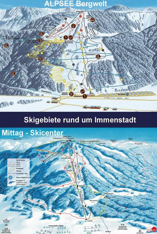 Appartemant Steineberg Immenstadt im Allgäu Екстериор снимка